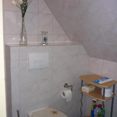 Seestern * Neuharlingersiel