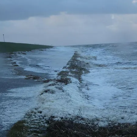 Seestern * Neuharlingersiel