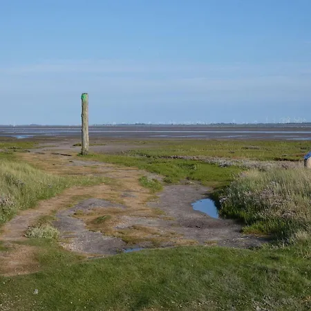 Seestern * Neuharlingersiel
